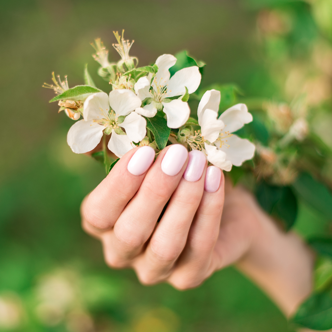 Joja Nails Nail Salon In Raleigh, NC 27603